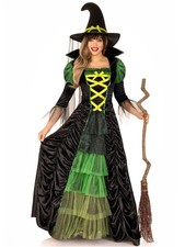 Leg Avenue Women's 2 Piece Storybook Witch Costume
