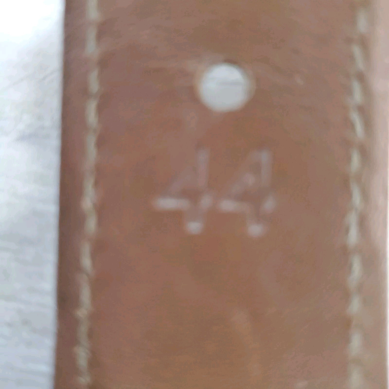 Bild 12 von 12