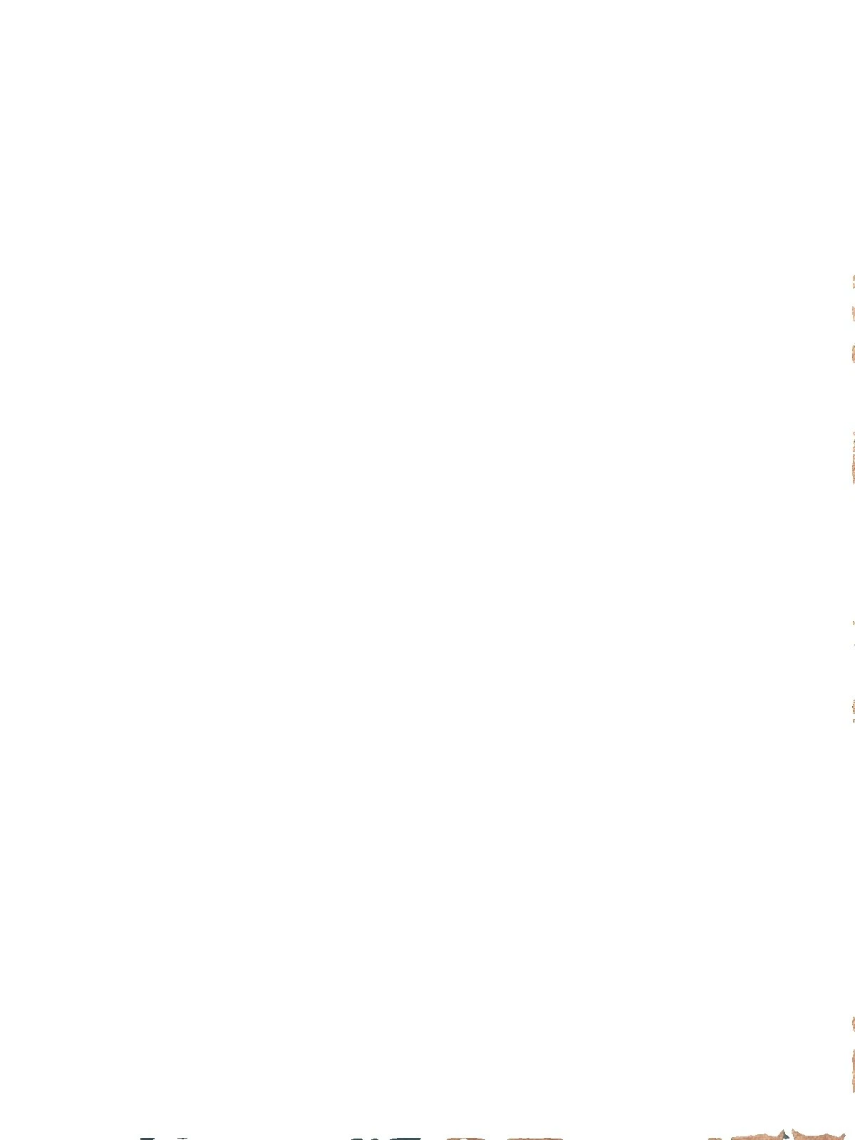 Tela de Damasco De Algodón Multicolor