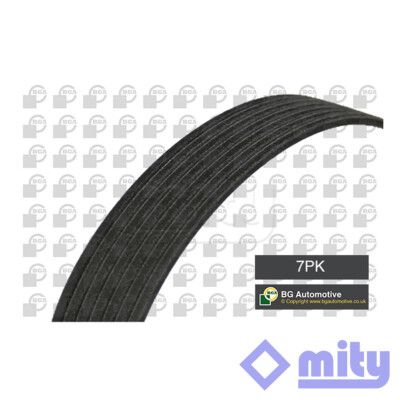 Fits X-Trail Qashqai Laguna Koleos 2.0 dCi 3.5 V Ribbed Drive Belt Mity