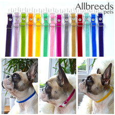 Collari Whelping I.D per cuccioli di velluto di tutte le razze, fasce regolabili, set allevamento cani