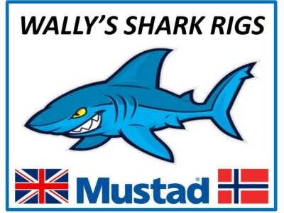 Shark Angelrigs 2 Bissspuren & 1 Reibvorfach
