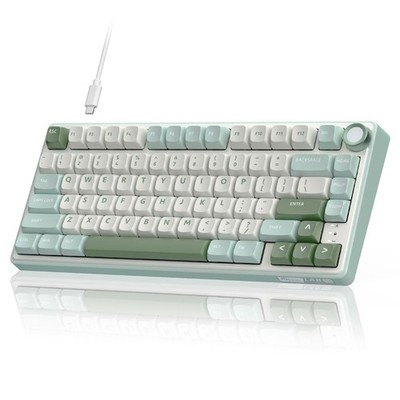 RK ROYAL KLUDGE R75 Mechanical Keyboard Wired with Volume Knob, 75 Keyboard G...