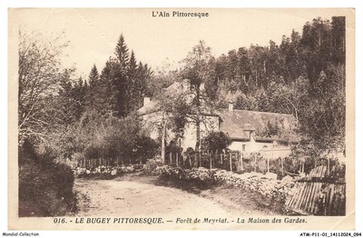 ATMP11-0955-01 - L'ain pittoresque - LE BUGEY PITTORESQUE - Forêt de Meyriat