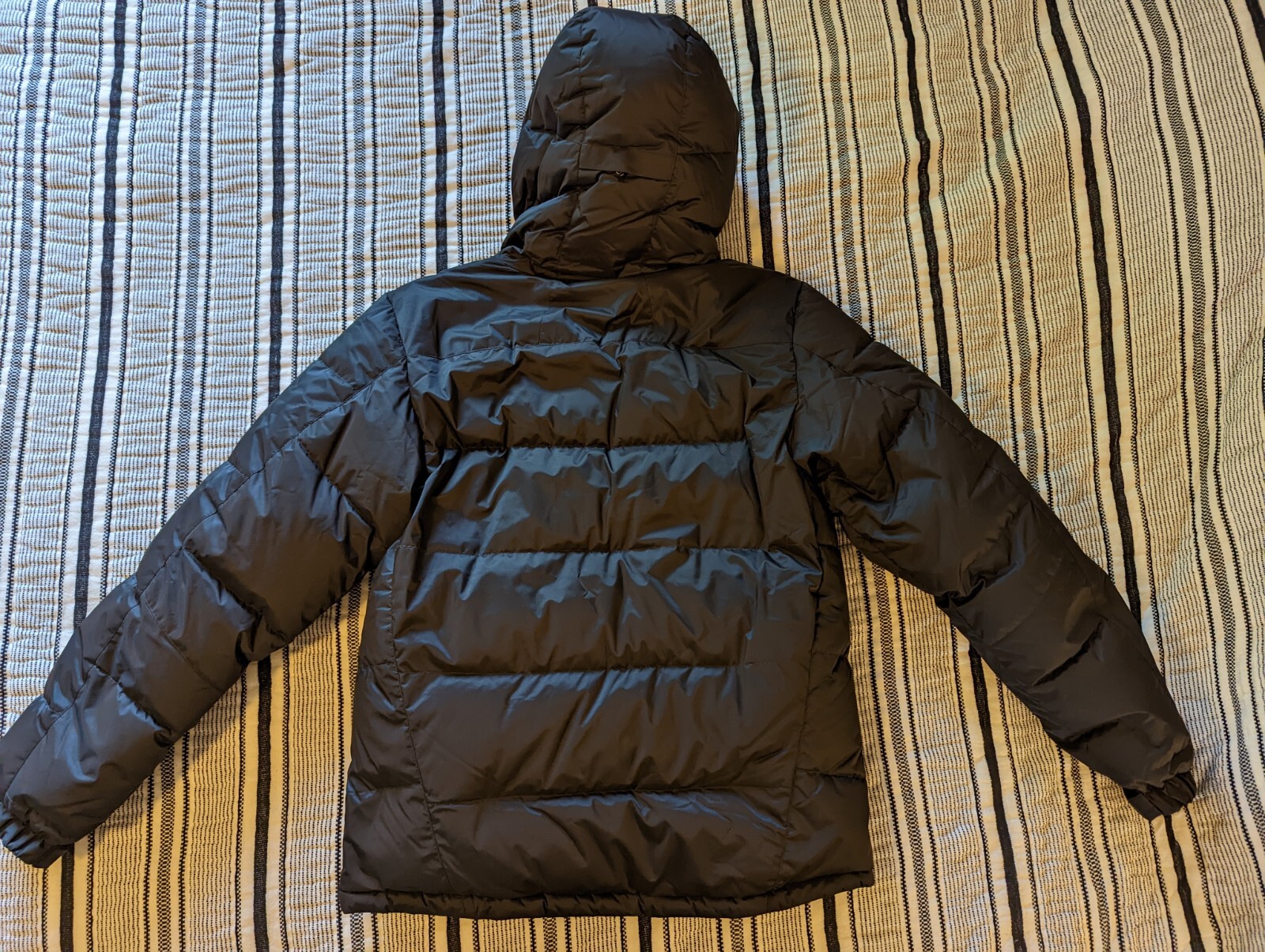 Eddie Bauer First Ascent Peak XV Jacket 