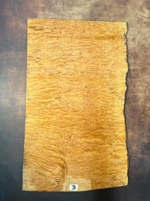 Shell Maple Droptop 5A | Quilted Maple Onepiece 5A | Tonewood | Tonewood | #3