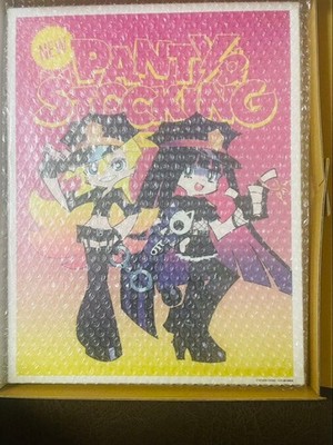 Neu PANTY & STOCKING S Prize Canvas Art Strumpfhose