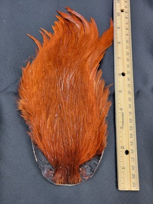 Lot 44,  Top Quality  COACHMAN BROWN India Rooster Streamer Neck Cape Feathers
