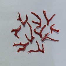 Natural Italian Coral Branches Lot Mediterranean Red Coral Loose Polished Rough