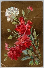 Antique Postcard Red Carnation Bouquet 1910s