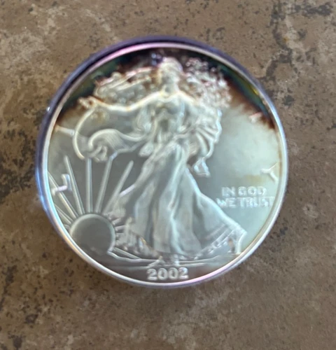 2002 American Silver Eagle Uncirculated Bullion Some Toning