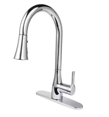 FLOW Classic Series Single-Handle Standard Kitchen Faucet in Chrome