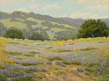 Extra Large Original Oil Painting of Wildflowers in Topanga California