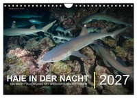 "Calendar 2027 · US Version · Sharks At Night (Wall Calendar 2027 12\" × 8\" Landsc"