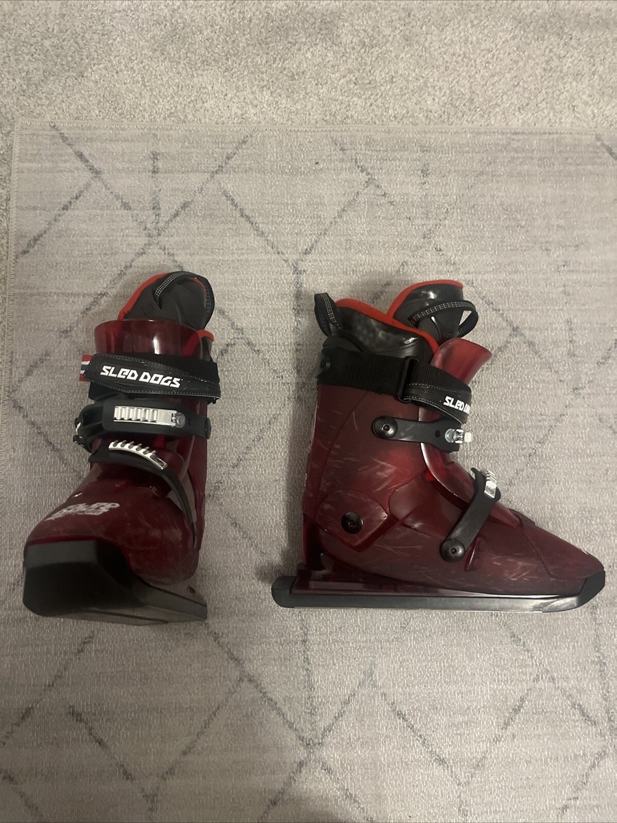 SLED DOGS HYGEN