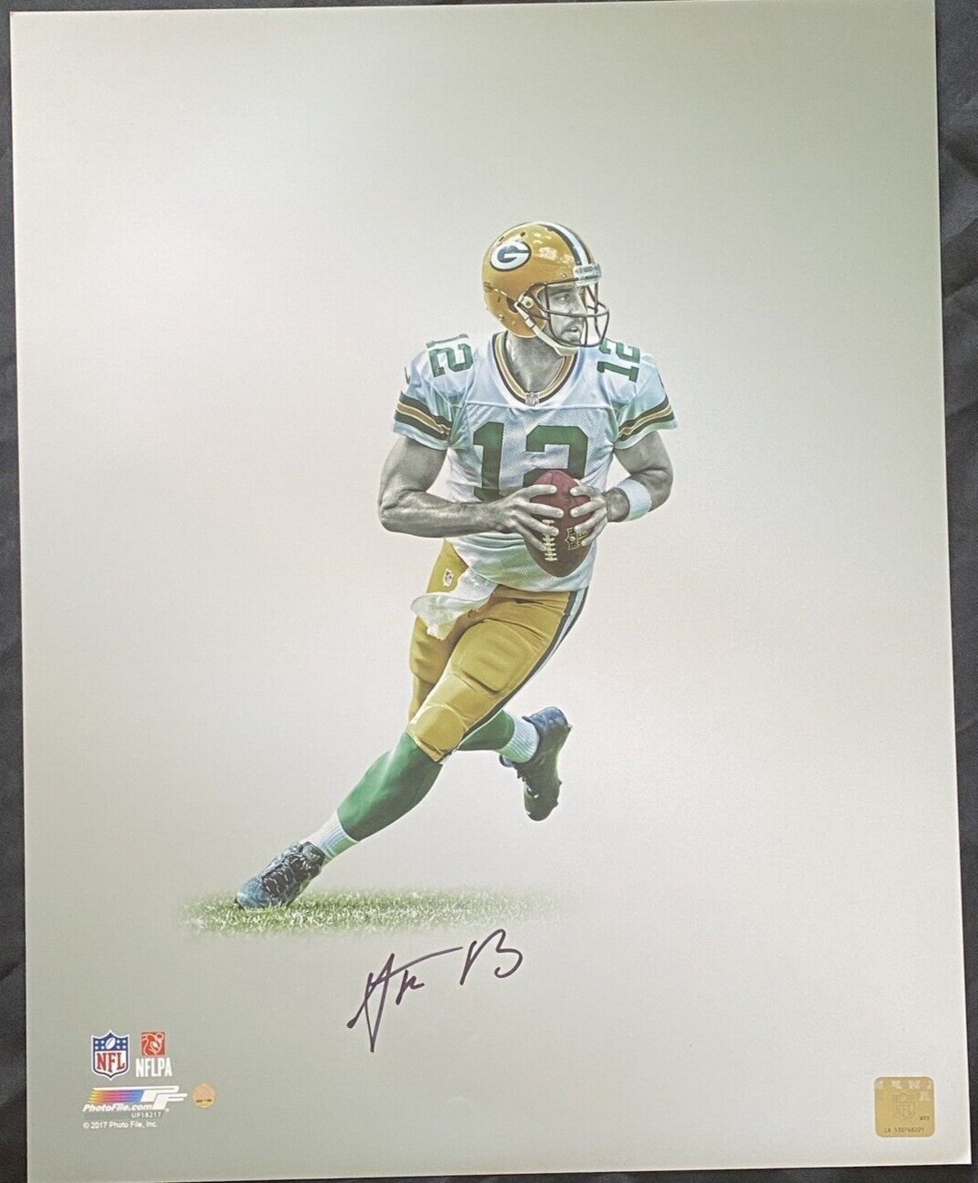 Aaron Rodgers Autographed Signed Green Bay Packers Auto 16x20 Photo ~ Steiner 