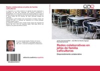Javier CarreóN-GuilléN (U. A.) | Redes Colaborativas En Jefas De Familia...