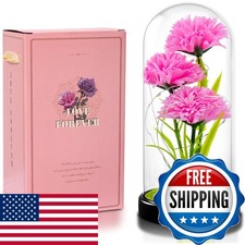 Pink Artificial Carnation Flowers in Glass Dome
