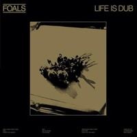 Foals - Life Is Dub - Vinyl Record Vinyl - G3Z