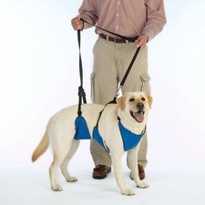 Pet Edge Total Pet Health 4-in-1 Lift  Lead Dog Harness, Blue, Medium