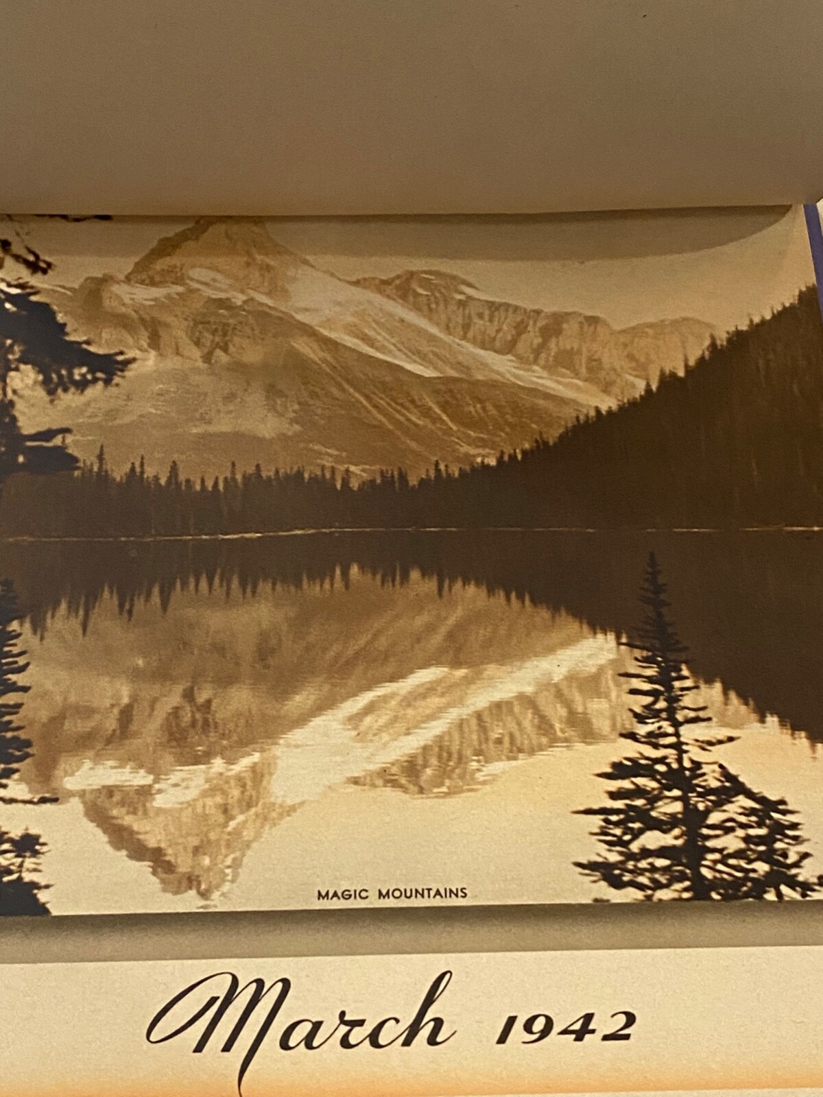 Picture 8 of 20