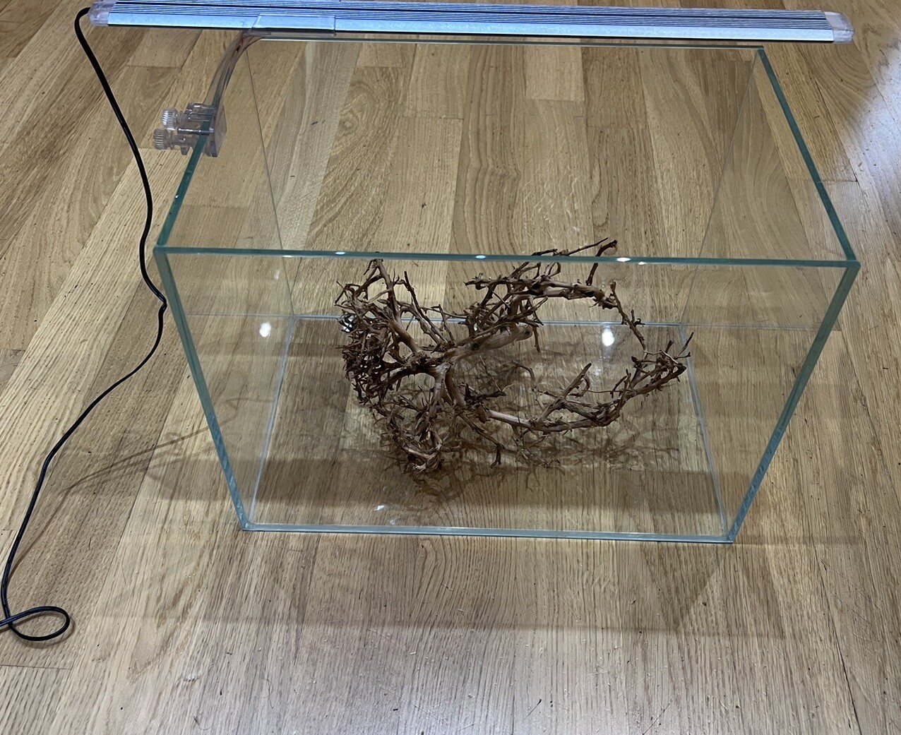 Foto 1 di 4