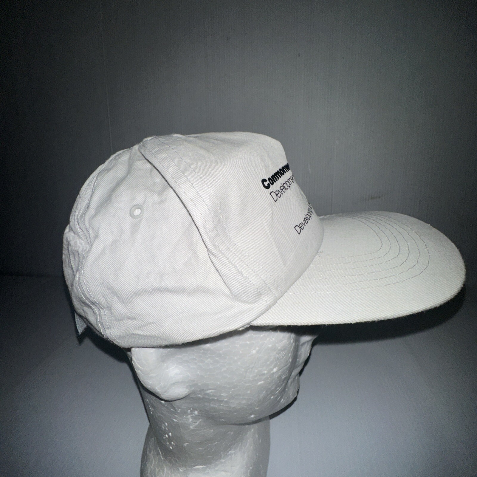 Commonwealth Development Bank Developing Australi… - image 8