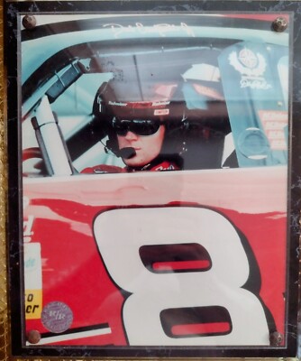 DALE EARNHARDT JR.   # 8  (NASCAR driver)  8 X 10 photo BUDWISER CAR #8