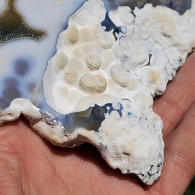 Ocean Jasper Gemmy Maravato Vein 8 Orbicular Crystal Slice Tile Slab 198 grams