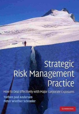 Strategic Risk Management Practice : How to Deal Effectively With Major Corpo...