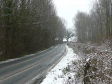Photo 6x4 Goosehill Lane Goosehill Green Looking south-east through Goose c2009