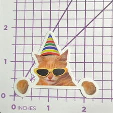 Cat In Birthday Hat & Sunglasses - Vinyl Sticker Decal Sticker Bomb Humor Funny