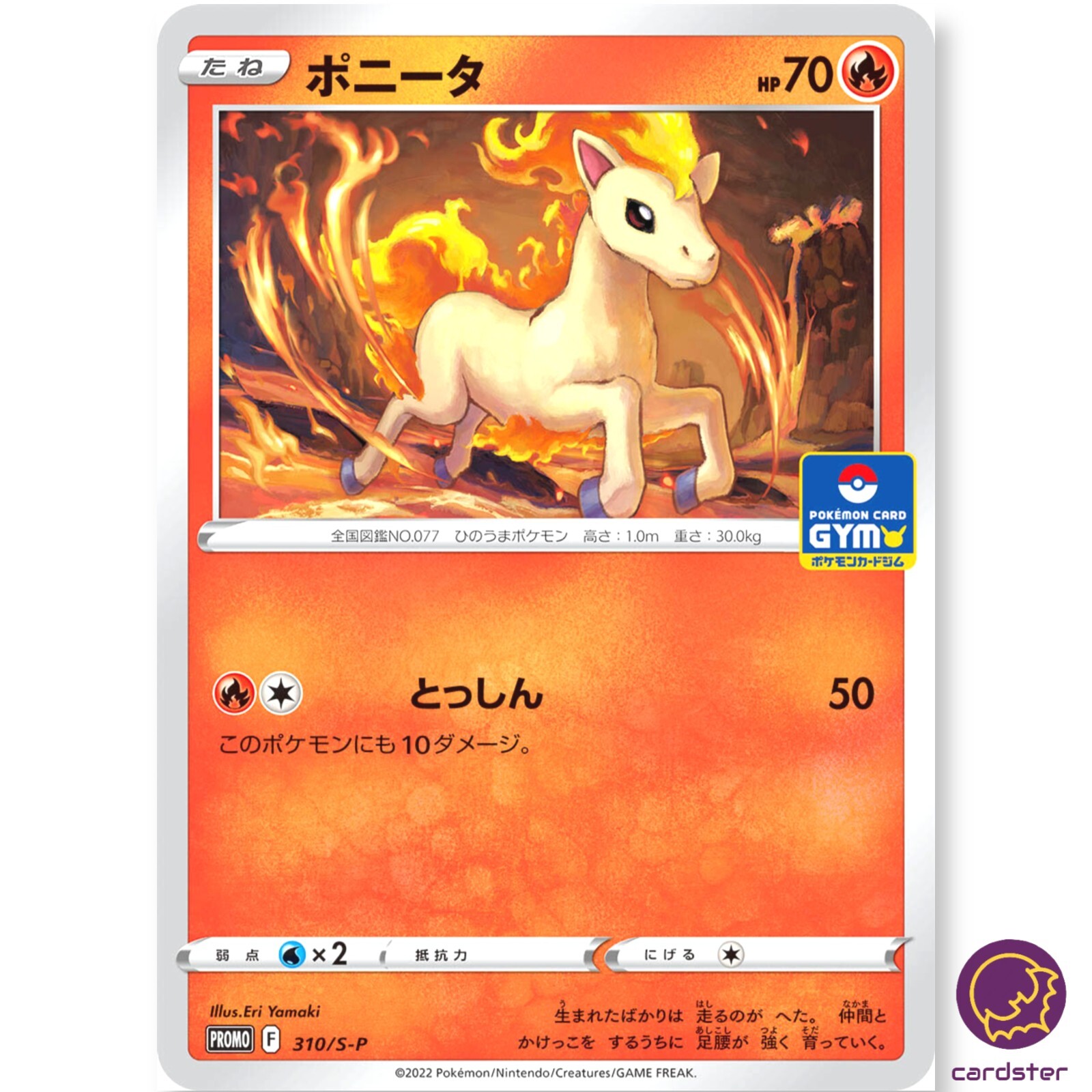 Ponyta 310/S-P GYM PROMO Vol 12 2022 Pokemon Card Japan