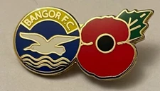 Banger FC Wear With Pride Collectable Football Club Pin Badge