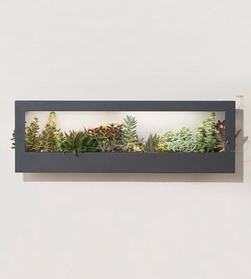 Smart LED Light Landscape Growframe - ModernSprout - New in Box- Matte Black