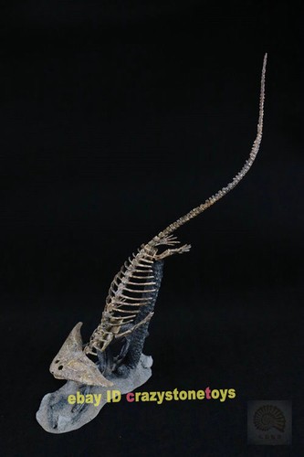 Diplocaulus Fossil Animal Model Resin Collection Statue Figure Display - Picture 5 of 10