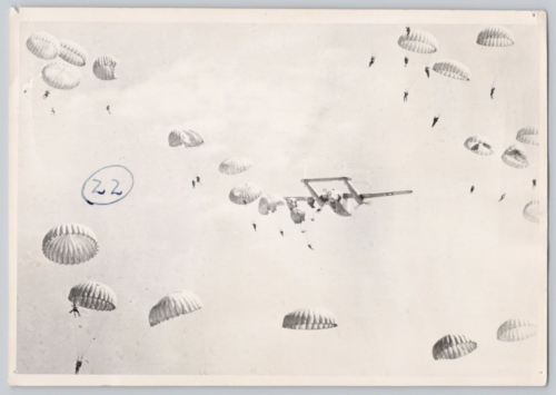 WWII Real Photograph Paratroopers Jumping From Twin Boom Plane 5x7 - Picture 1 of 2