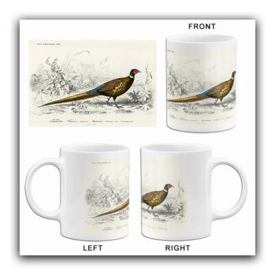 Ring-Necked Pheasant (Phasianus Colchicus) - Illustration Mug