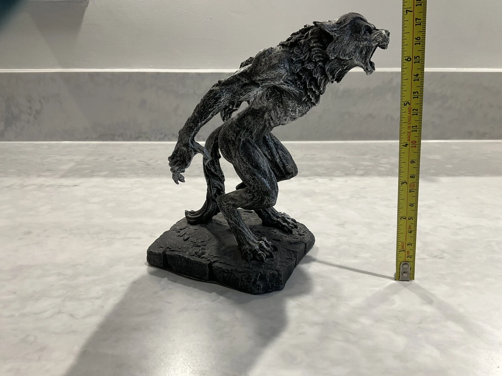 Picture 6 of 6