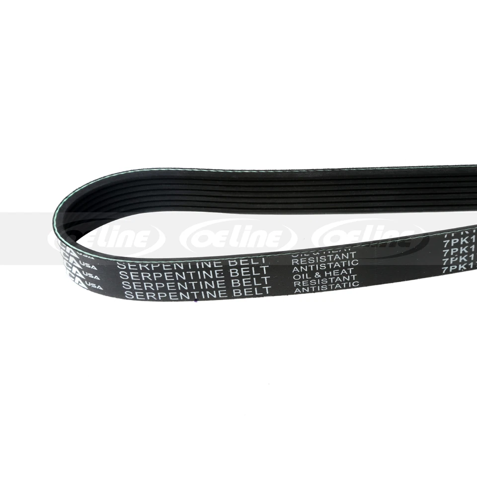7PK1732 Fits 2002-2008 Acura Dodge 2.3L 2.4L 8.3L GAS DOHC OHV Serpentine Belt - Image 3 of 4