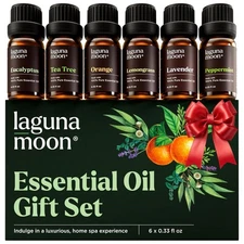 6 Exquisite Essential Oils for Home Care - Perfect gifts for Every Occasion