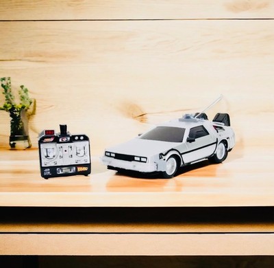 Jada 1:16 Back to the Future RC DeLorean Time Machine JD34627 | eBay