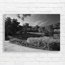 Lush Tropical Garden Canvas Print Large Picture Wall Art