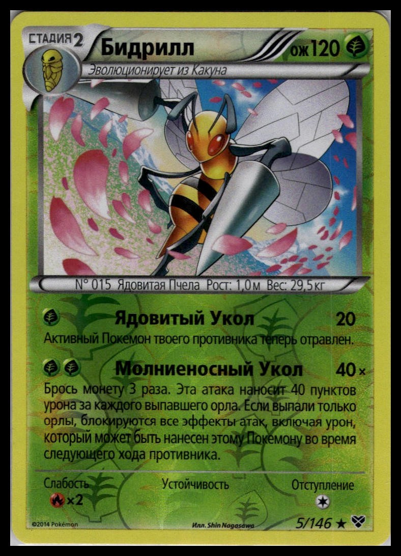 Beedrill 5/146 Reverse Holo | Pokemon 2014 XY Base Set Russian [US Seller] #1
