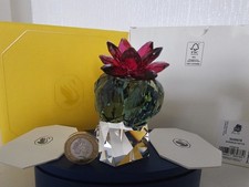 SWAROVSKI CRYSTAL PARADISE FLOWERS 'CACTUS BORDEAUX' BRAND NEW