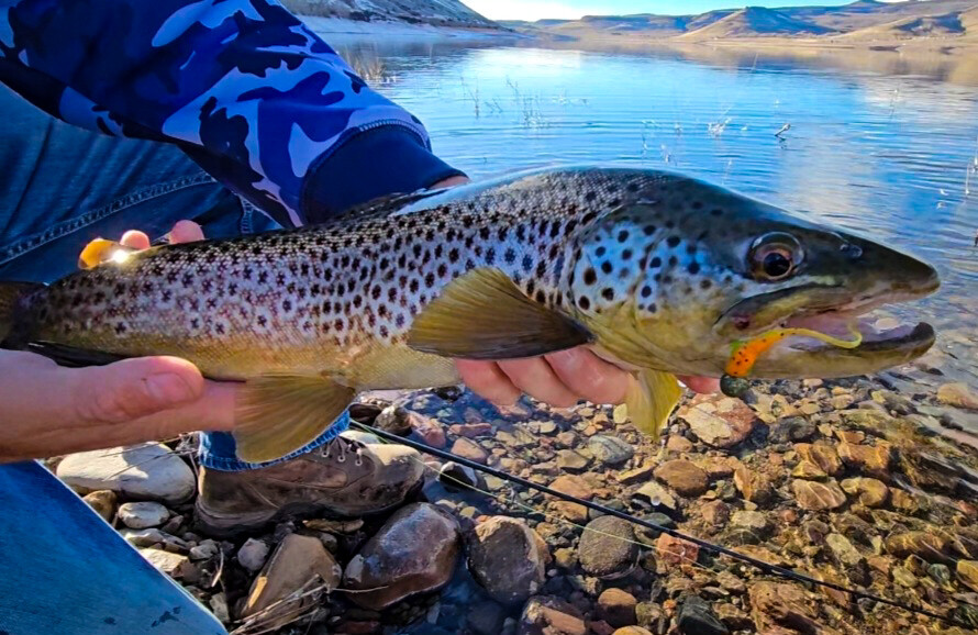 Pill Head Jig 3 pack with Trokar Hooks - Ice Fishing Jig