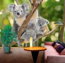 3D Gray Koala Baby D1353 Animal Wallpaper Mural Self-adhesive Removable Honey