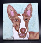 Ibizan Hound Dog Hand Glazed Tile by Pumpkin Inc. Signed 6" Trivet Wall Art