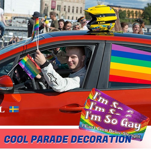 Anley I'm So Gay Car Magnet Signs - LGBT Gay Pride Magnetic Decal (3 Pack) - Picture 5 of 7