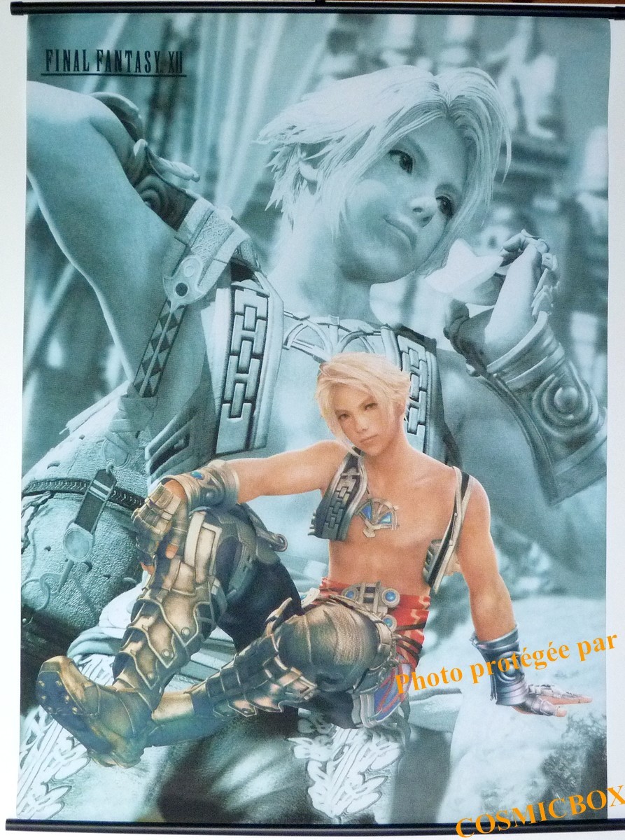 Affiche tissu Final Fantasy 12 figurine Vaan poster jeux video pour salon geek